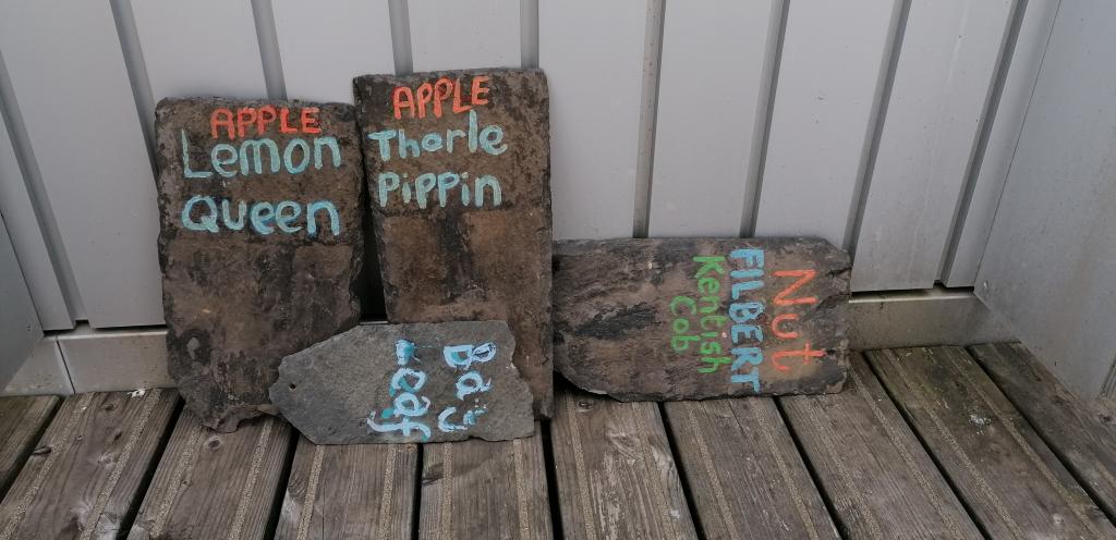 Photo showing signs made by students for trees growing in 7th floor garden