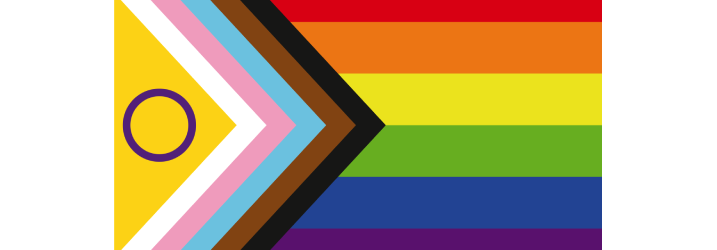 LGBTQIA+ flag